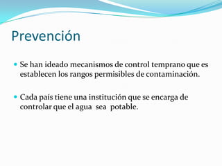 Importancia Del Agua