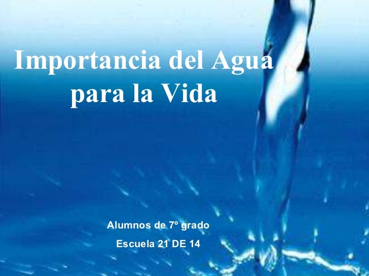 Importancia Del Agua