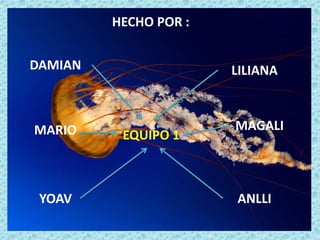 HECHO POR :
DAMIAN LILIANA
MARIO
YOAV
MAGALI
ANLLI
EQUIPO 1
 