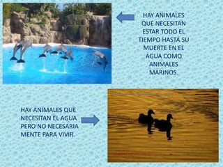 HAY ANIMALES
QUE NECESITAN
ESTAR TODO EL
TIEMPO HASTA SU
MUERTE EN EL
AGUA COMO
ANIMALES
MARINOS.
HAY ANIMALES QUE
NECESITAN EL AGUA
PERO NO NECESARIA
MENTE PARA VIVIR.
 