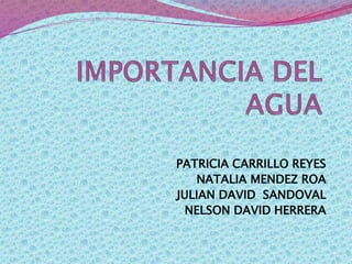 PATRICIA CARRILLO REYES
NATALIA MENDEZ ROA
JULIAN DAVID SANDOVAL
NELSON DAVID HERRERA
 