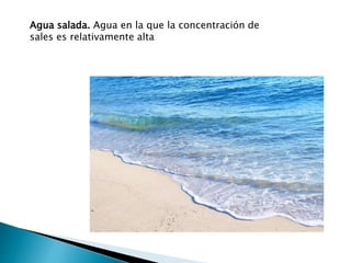 Agua salada. Agua en la que la concentración de
sales es relativamente alta
 
