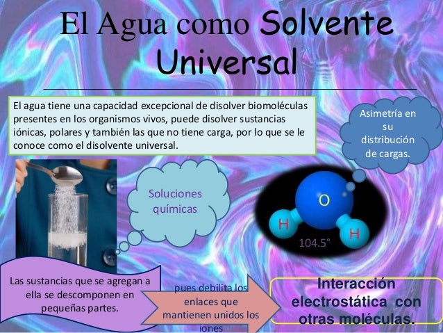 Importancia del agua.