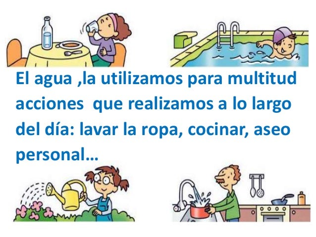 Importancia Del Agua