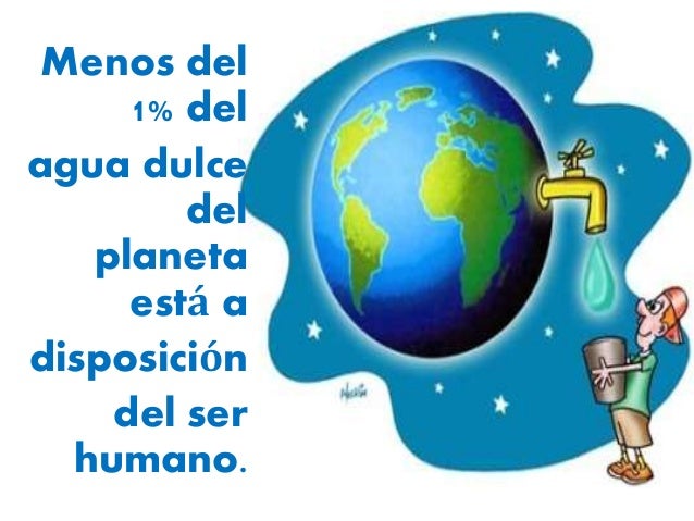 la importancia del agua dentro del ecosistema el cofre de wilal importancia del agua