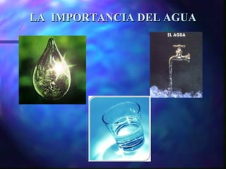 LA IMPORTANCIA DEL AGUALA IMPORTANCIA DEL AGUA
 