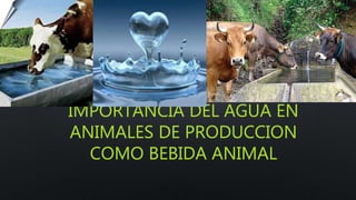 IMPORTANCIA DEL AGUA EN
ANIMALES DE PRODUCCION
COMO BEBIDA ANIMAL
 