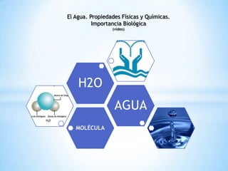 El Agua. Propiedades Físicas y Químicas.
          Importancia Biológica
                 (video)




    H2O
                  AGUA
   MOLÉCULA
 