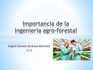 Ángela Daniela Burbano Martínez
11-5
 