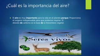 ¿Cuál es la importancia del aire?
 El aire es muy importante para la vida en el planeta porque: Proporciona
el oxígeno indispensable para que podamos respirar. El
dióxido de carbono es la base de la fotosíntesis vegetal.
 