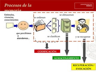 Procesos de la
memoria
Estímulos,
vivencias,
conocimientos
que percibimos
y
atendemos…
se ordenan
se almacenan
se clasifican y se recuperan
CODIFICACIÓN
ALMACENAMIENTO
RECUPERACIÓN /
EVOCACIÓN
 