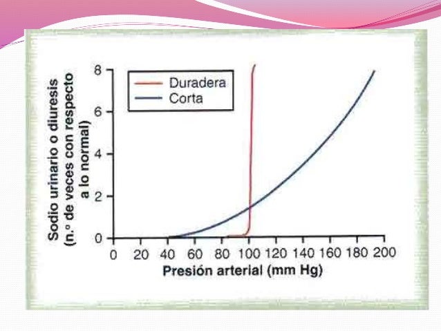 Resultado de imagen para diuresis y natriuresis
