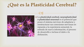 
 La plasticidad cerebral, neuroplasticidad
o plasticidad neuronal es el potencial que
posee el sistema nervioso de adaptarse y
reestructurar sus conexiones nerviosas en
repuesta a la experiencia sensorial, la
entrada de nueva información, el proceso
de desarrollo e incluso el daño o la
disfunción.
¿Qué es la Plasticidad Cerebral?
 