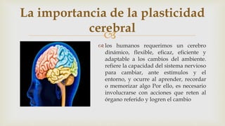 
 los humanos requerimos un cerebro
dinámico, flexible, eficaz, eficiente y
adaptable a los cambios del ambiente.
refiere la capacidad del sistema nervioso
para cambiar, ante estímulos y el
entorno, y ocurre al aprender, recordar
o memorizar algo Por ello, es necesario
involucrarse con acciones que reten al
órgano referido y logren el cambio
La importancia de la plasticidad
cerebral
 