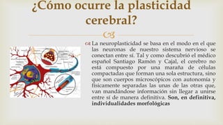 
 La neuroplasticidad se basa en el modo en el que
las neuronas de nuestro sistema nervioso se
conectan entre sí. Tal y como descubrió el médico
español Santiago Ramón y Cajal, el cerebro no
está compuesto por una maraña de células
compactadas que forman una sola estructura, sino
que son cuerpos microscópicos con autonomía y
físicamente separadas las unas de las otras que,
van mandándose información sin llegar a unirse
entre sí de manera definitiva. Son, en definitiva,
individualidades morfológicas
¿Cómo ocurre la plasticidad
cerebral?
 