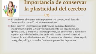 
 El cerebro es el órgano más importante del cuerpo, es el llamado
“computador central” del sistema nervioso.
 En él ocurren los procesos cognitivos, las llamadas funciones
indispensables para la vida y funcionamiento del organismo, los
aprendizajes, la memoria, las percepciones, las emociones y además se
regulan actividades habituales en la vida diaria como el sueño, el
hambre, la actividad motora, etc. Por lo tanto, es el cerebro el encargado
de regular y dirigir todas las funciones que realiza la persona.
Importancia de conservar
la plasticidad del cerebro
 