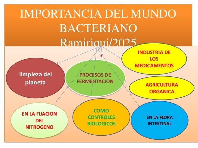 Importancia de las bacterias