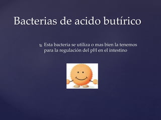 Bacterias de acido butírico
 Esta bacteria se utiliza o mas bien la tenemos
para la regulación del pH en el intestino
 