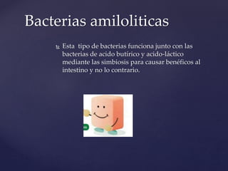 Bacterias amiloliticas
 Esta tipo de bacterias funciona junto con las
bacterias de acido butírico y acido-láctico
mediante las simbiosis para causar benéficos al
intestino y no lo contrario.
 