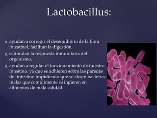 Lactobacillus:
 ayudan a corregir el desequilibrio de la flora
intestinal, facilitan la digestión,
 estimulan la respuesta inmunitaria del
organismo,
 ayudan a regular el funcionamiento de nuestro
intestino, ya que se adhieren sobre las paredes
del intestino impidiendo que se alojen bacterias
malas que comúnmente se ingieren en
alimentos de mala calidad.
 