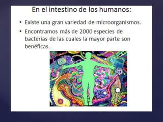 Importancia de las bacterias 