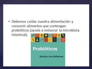 Importancia de las bacterias 