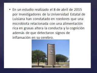 Importancia de las bacterias 