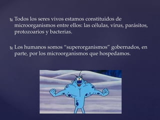  Todos los seres vivos estamos constituidos de
microorganismos entre ellos: las células, virus, parásitos,
protozoarios y bacterias.
 Los humanos somos “superorganismos” gobernados, en
parte, por los microorganismos que hospedamos.
 