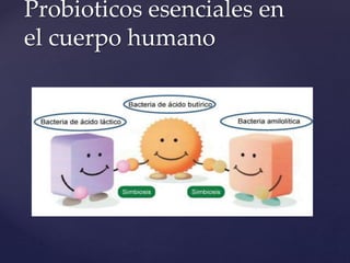 Probioticos esenciales en
el cuerpo humano
 