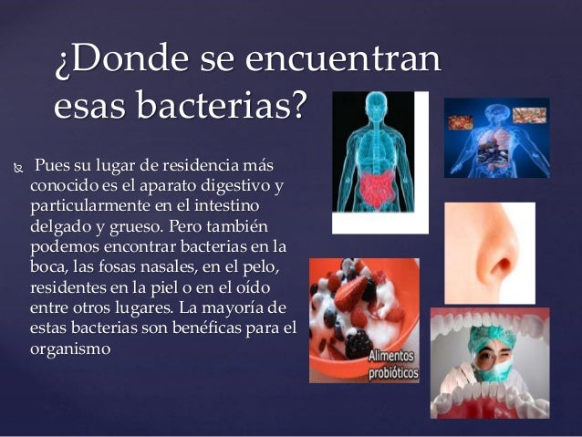 Importancia de las bacterias