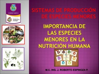 IMPORTANCIA DE
LAS ESPECIES
MENORES EN LA
NUTRICIÓN HUMANA
M.C. ING. J. ROBERTO ESPINOZA P.
 