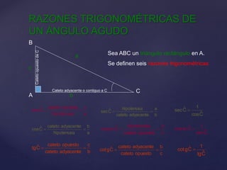 Importancia de las Matemáticas en la Agrimensura.pptx