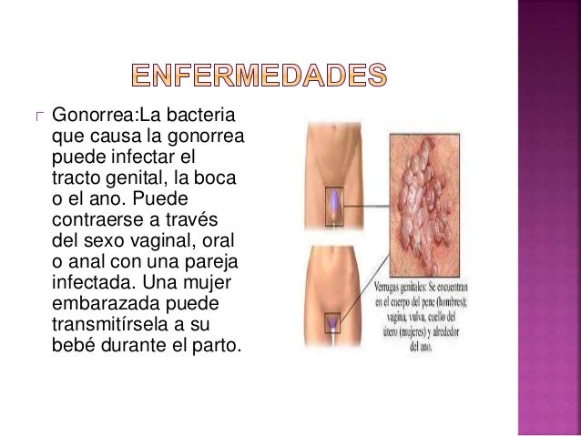 Cmo Saber Si Estoy Embarazada Desde 1er Da Descbrelo Cmo Saber Si Estoy Embarazada Desde 1er Da Descbrelo