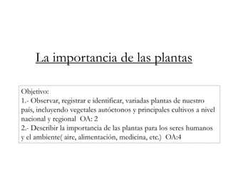 La importancia de las plantas 
Objetivo: 
1.- Observar, registrar e identificar, variadas plantas de nuestro 
país, incluyendo vegetales autóctonos y principales cultivos a nivel 
nacional y regional OA: 2 
2.- Describir la importancia de las plantas para los seres humanos 
y el ambiente( aire, alimentación, medicina, etc.) OA:4 
 