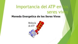Importancia del ATP en los 
seres vivos 
 
