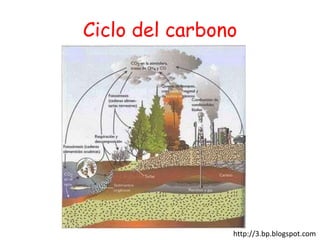 Ciclo del carbono




                http://3.bp.blogspot.com
 