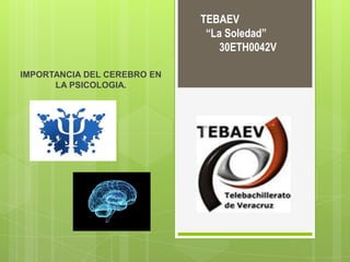 TEBAEV
“La Soledad”
30ETH0042V
IMPORTANCIA DEL CEREBRO EN
LA PSICOLOGIA.

 