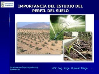 1
IMPORTANCIA DEL ESTUDIO DEL
PERFIL DEL SUELO
jorgehuaman@agronegocios.org
959660795
M.Sc. Ing. Jorge Huamán Aliaga
 