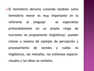  El hemisferio derecho conocido también como
hemisferio menor es muy importante en lo
referente al lenguaje – se especializa
primordialmente en un amplio rango de
funciones no propiamente lingüísticas: pueden
citarse a manera de ejemplo de percepción y
procesamiento de sonidos y ruidos no
lingüísticos, las melodías, los estímulos espacio-
visuales y las ideas no verbales.