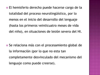  El hemisferio derecho puede hacerse cargo de la
totalidad del proceso neurolingüístico, por lo
menos en el inicio del desarrollo del lenguaje
(hasta los primeros veinticuatro meses de vida
del niño), en situaciones de lesión severa del HI.
Se relaciona más con el procesamiento global de
la información (por lo que no esta tan
completamente desvinculado del mecanismo del
lenguaje como puede creerse).