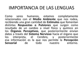 IMPORTANCIA DE LAS LENGUAS 
Como seres humanos, estamos completamente 
relacionados con el Medio Ambiente que nos rodea, 
recibiendo una gran cantidad de Estímulos que fomentan 
distintas Respuestas o Pulsiones que surgen como 
resultado de un cambio a nivel físico y químico en 
los Órganos Perceptivos, que posteriormente envían 
datos a través del Sistema Nervioso hacia el órgano que 
los interpreta, el Cerebro, y posteriormente 
esa información es la que nos permite la Percepción 
Sensorial de todo nuestro entorno. 
 
