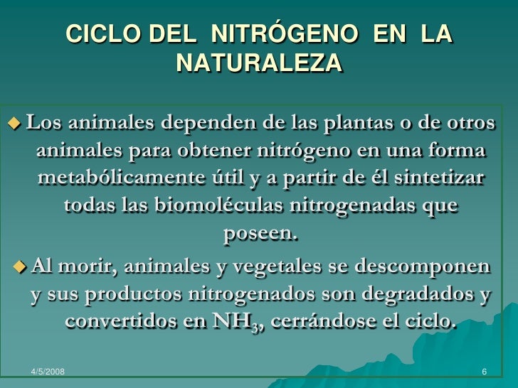 Importancia del nitrogeno