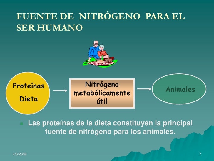 Importancia del nitrogeno