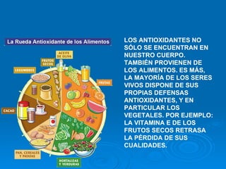 LOS ANTIOXIDANTES NO SÓLO SE ENCUENTRAN EN NUESTRO CUERPO. TAMBIÉN PROVIENEN DE LOS ALIMENTOS. ES MÁS, LA MAYORÍA DE LOS SERES VIVOS DISPONE DE SUS PROPIAS DEFENSAS ANTIOXIDANTES, Y EN PARTICULAR LOS VEGETALES. POR EJEMPLO: LA VITAMINA E DE LOS FRUTOS SECOS RETRASA LA PÉRDIDA DE SUS CUALIDADES. 