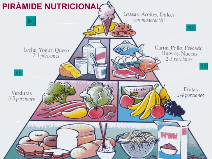 Resultado de imagen para importancia de los alimentos para los seres vivos