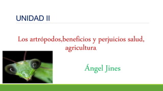 UNIDAD II
Los artrópodos,beneficios y perjuicios salud,
agricultura,
Ángel Jines
 