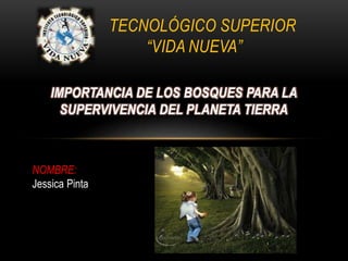 TECNOLÓGICO SUPERIOR
“VIDA NUEVA”
IMPORTANCIA DE LOS BOSQUES PARA LA
SUPERVIVENCIA DEL PLANETA TIERRA
NOMBRE:
Jessica Pinta
 