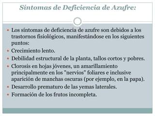 Síntomas de Deficiencia de Azufre:Los síntomas de deficiencia de azufre son debidos a los trastornos fisiológicos, manifestándose en los siguientes puntos:Crecimiento lento.Debilidad estructural de la planta, tallos cortos y pobres.Clorosis en hojas jóvenes, un amarillamiento principalmente en los "nervios" foliares e inclusive aparición de manchas oscuras (por ejemplo, en la papa).Desarrollo prematuro de las yemas laterales. Formación de los frutos incompleta.