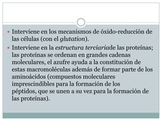 Interviene en los mecanismos de óxido-reducción de las células (con el glutation).Interviene en la estructura terciariade las proteínas; las proteínas se ordenan en grandes cadenas moleculares, el azufre ayuda a la constitución de estas macromoléculas además de formar parte de los aminoácidos (compuestos moleculares imprescindibles para la formación de los péptidos, que se unen a su vez para la formación de las proteínas).