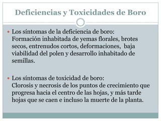 Deficiencias y Toxicidades de BoroLos síntomas de la deficiencia de boro:Formación inhabitada de yemas florales, brotes secos, entrenudos cortos, deformaciones,  baja viabilidad del polen y desarrollo inhabitado de semillas.Los síntomas de toxicidad de boro:Clorosis y necrosis de los puntos de crecimiento que progresa hacia el centro de las hojas, y más tarde hojas que se caen e incluso la muerte de la planta.